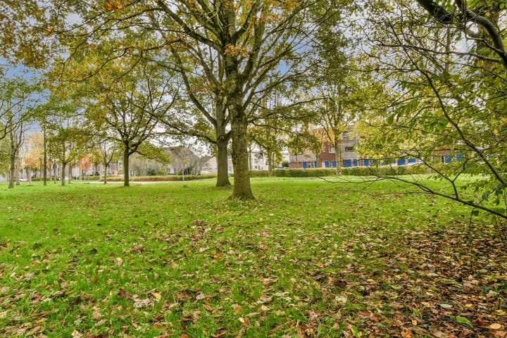 Foto 33 van Clingendaellaan 163