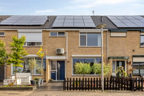 Zwaluwstraat thumbnail