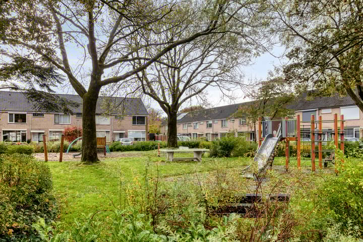 Foto 41 van Zwaluwstraat 36