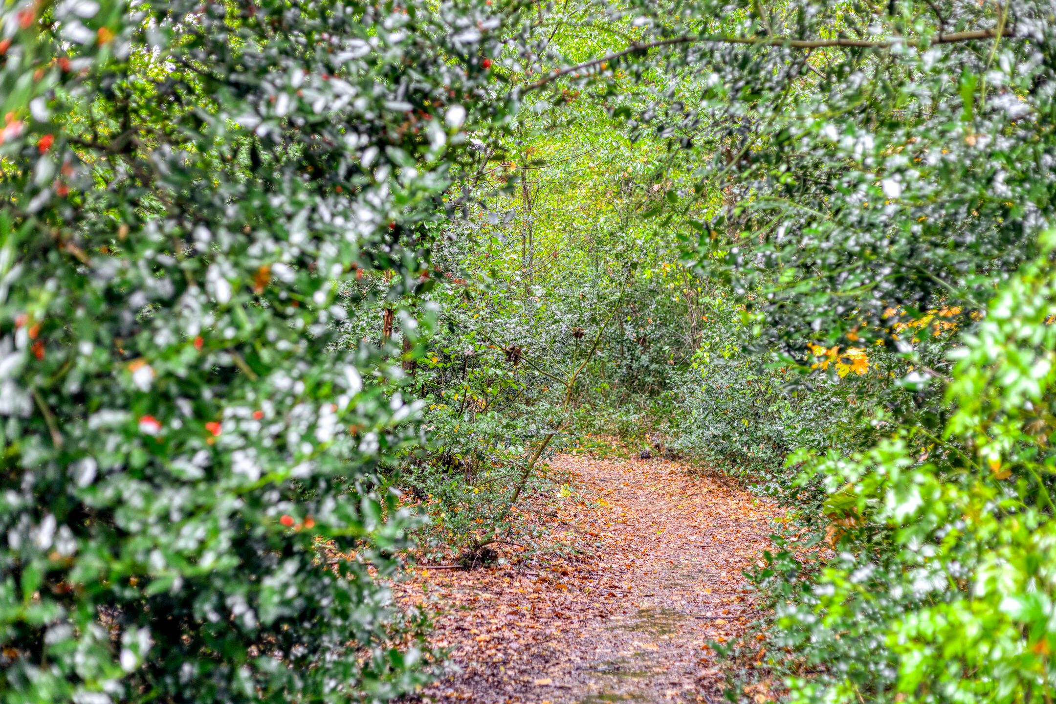 Foto 42 van Ceramstraat 6