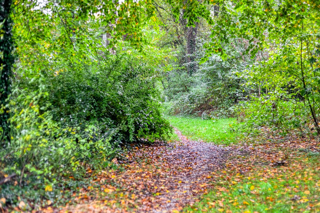 Foto 43 van Ceramstraat 6