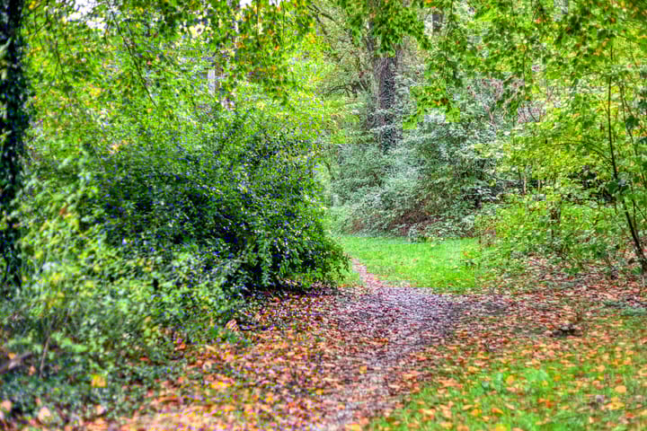 Foto 43 van Ceramstraat 6