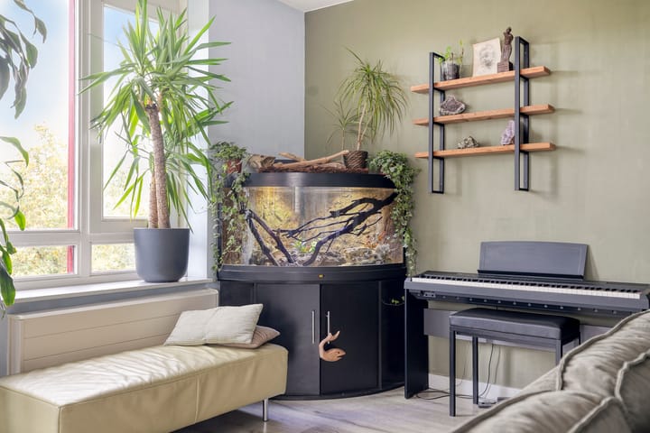 Photo 10 of Kuinrestraat 9