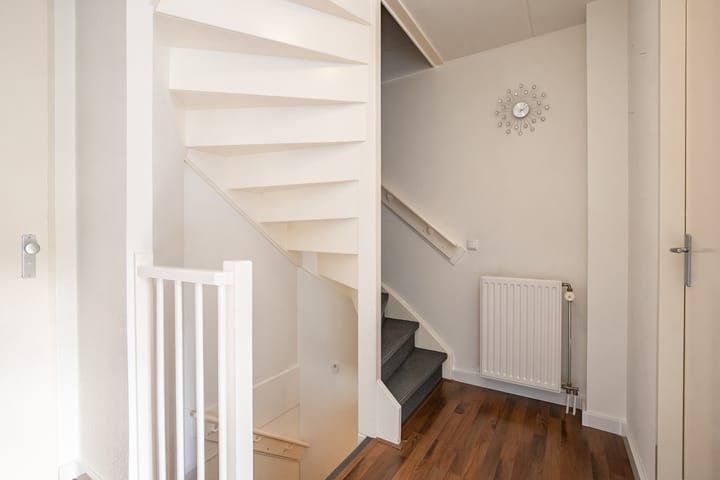 Foto 9 van Persiuspad 4