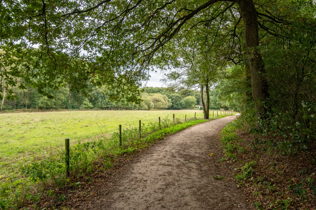 Photo 58 of Vennenlaan 4