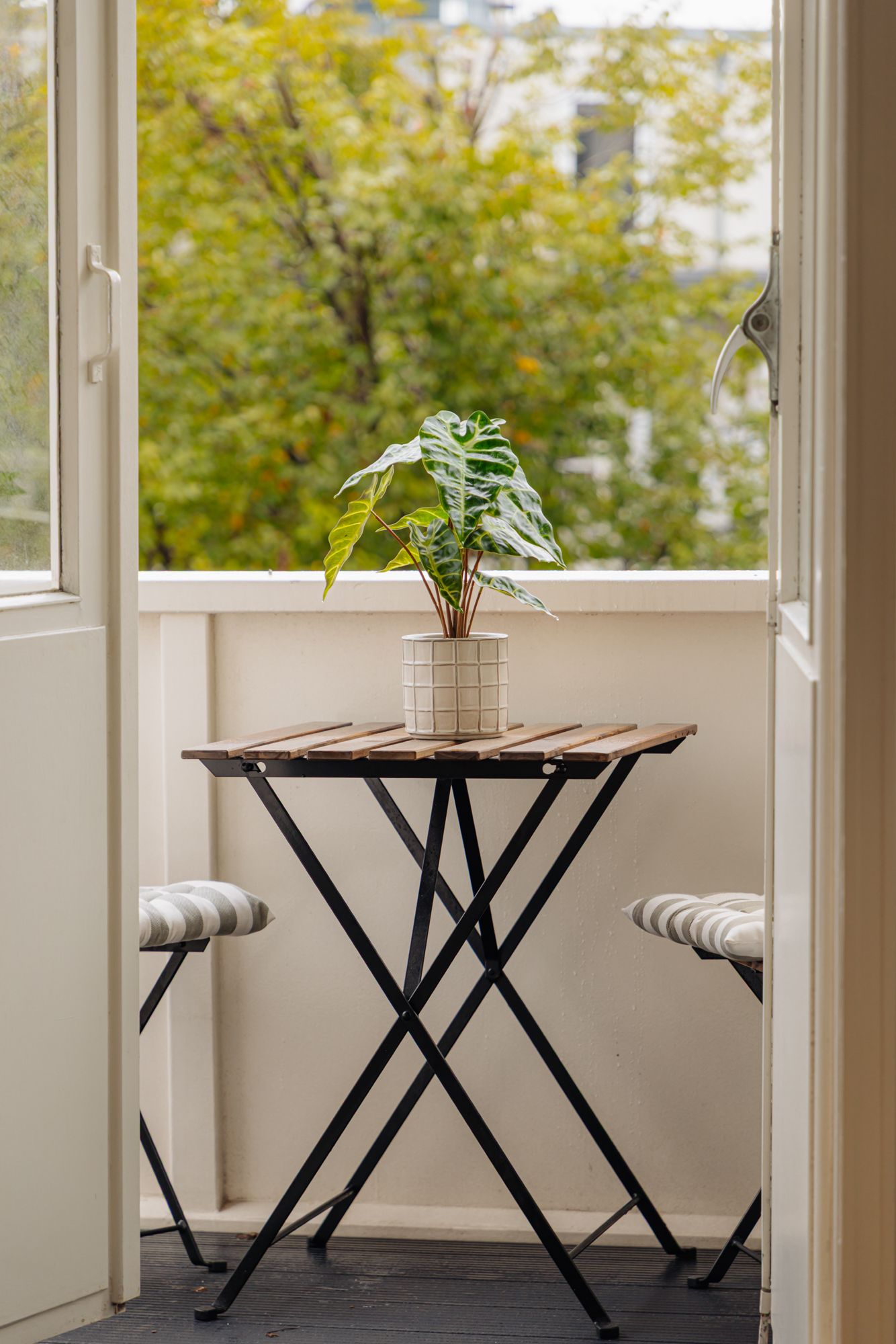 Foto 12 van Roelof Hartstraat 5-3