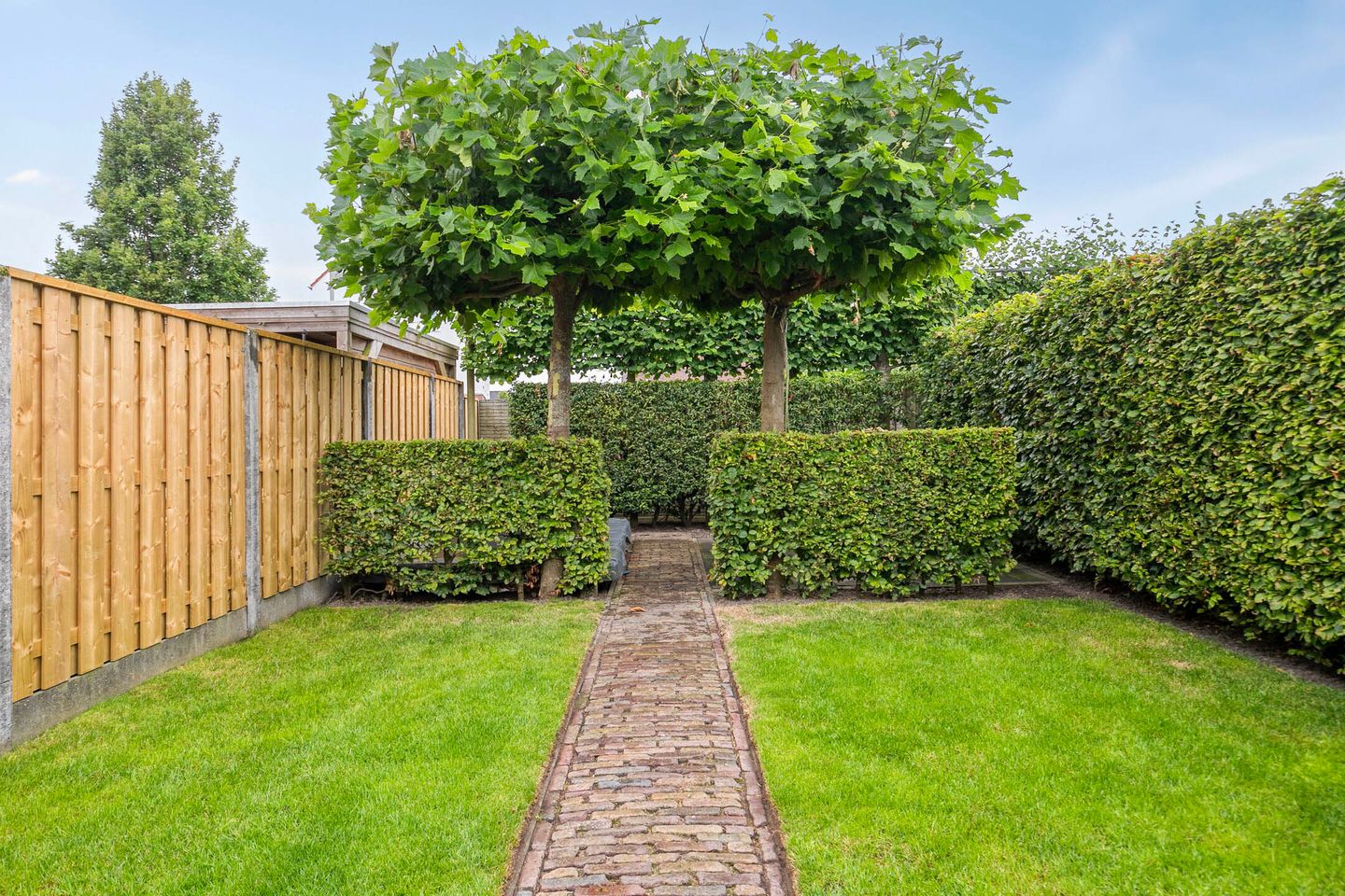 Foto 29 van Burgemeester Dregmansstraat 12