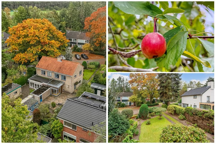 Foto 39 van Eikenlaan 5