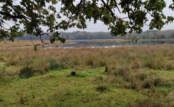 Foto 46 van Eikenlaan 5