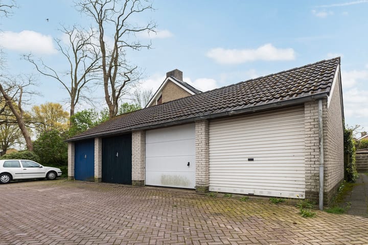 Foto 38 van Sleutelbloem 39