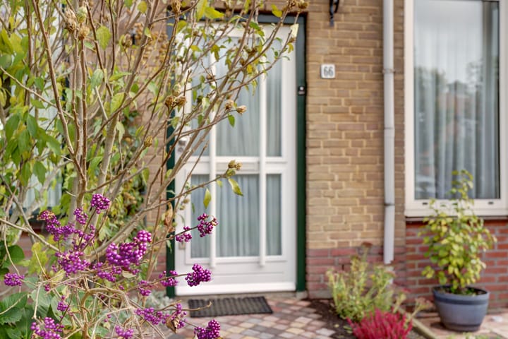 Photo 46 of Buizerdlaan 66