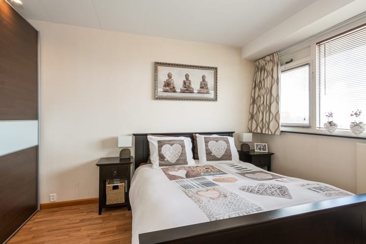 Foto 11 van Albert van Raalteplein 140