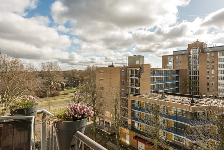 Foto 19 van Albert van Raalteplein 140