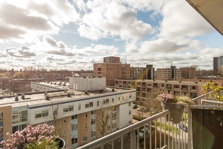 Foto 20 van Albert van Raalteplein 140