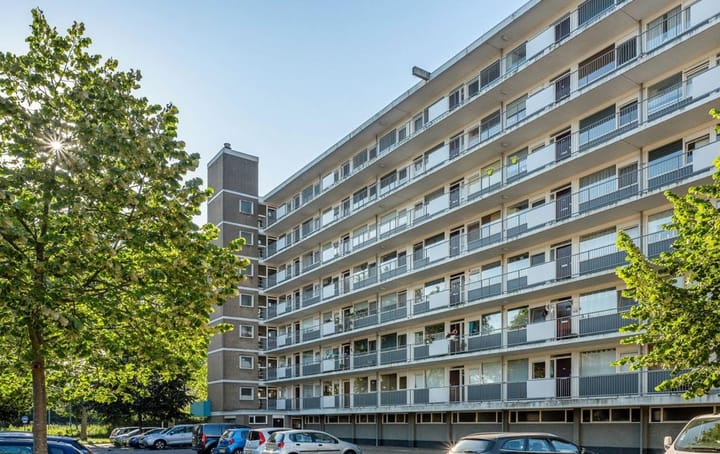 Foto 21 van Albert van Raalteplein 140