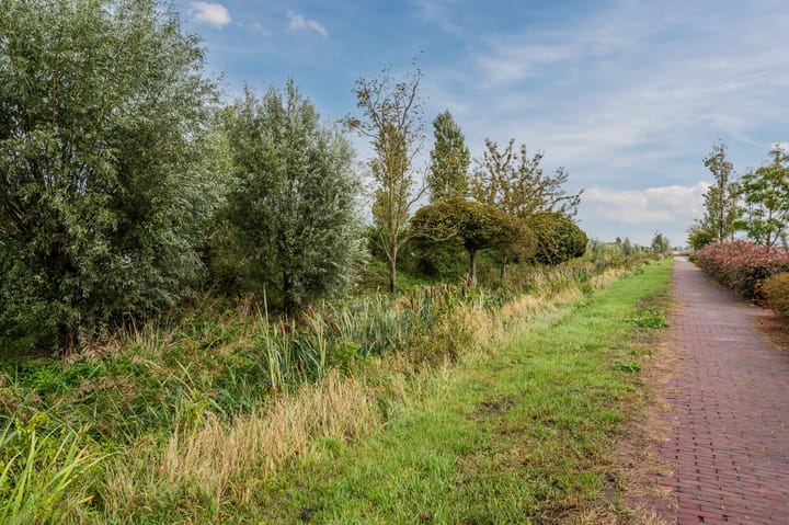 Foto 6 van Waterpeil 4