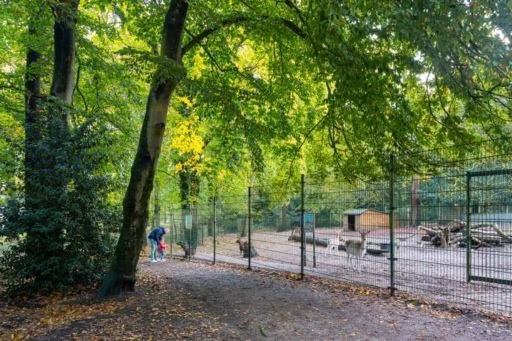 Photo 34 of Nieuwstraat 23-B