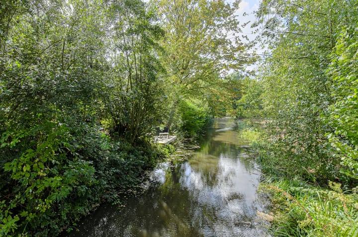 Photo 46 of Maaibeemd 93