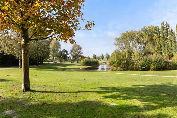 Foto 6 van Puntenburg 8