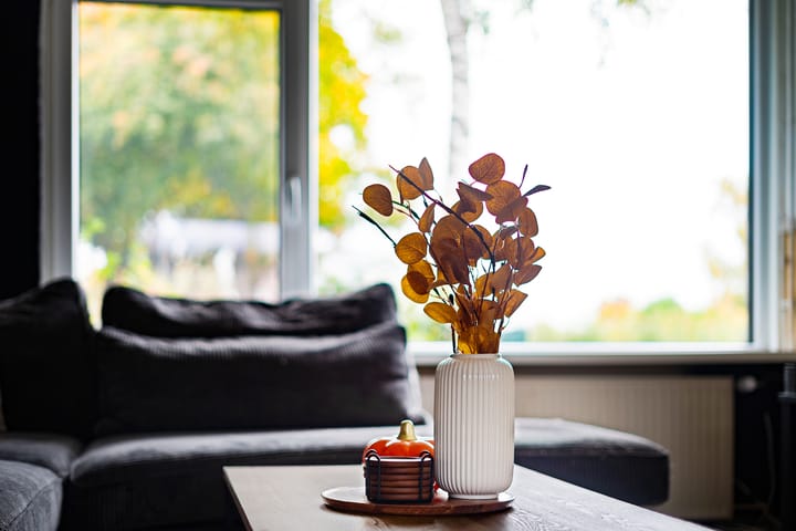 Photo 11 of Sint Gerardusstraat 33