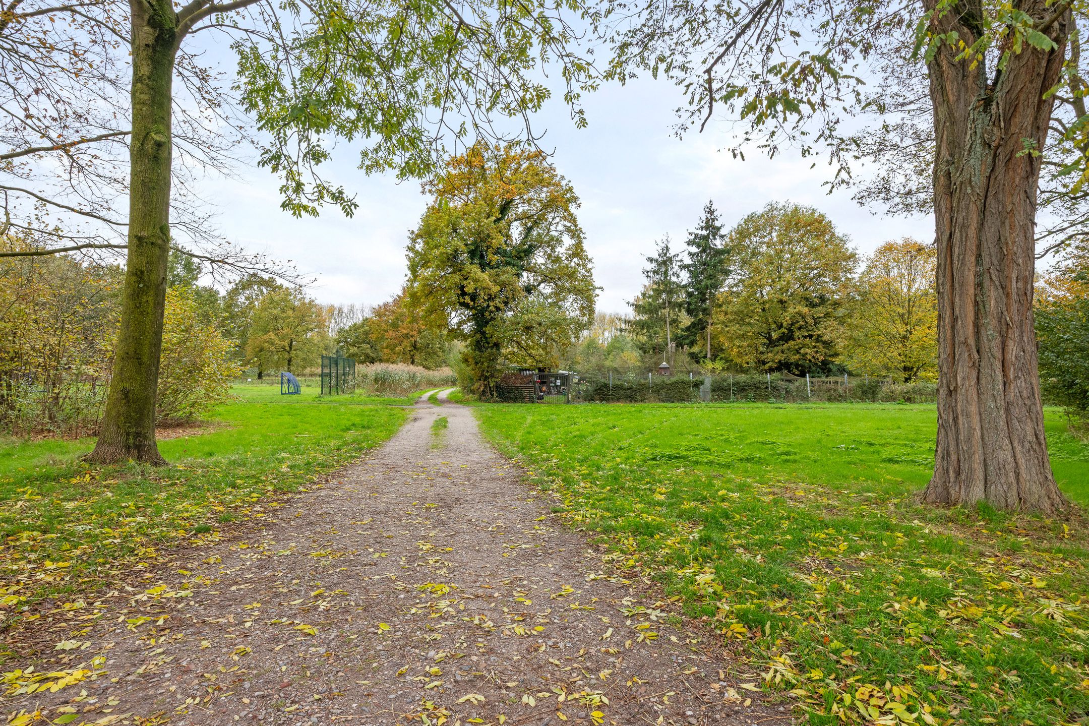 Photo 27 of Kornoeljelaan 54