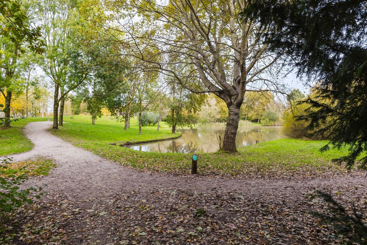 Foto 5 van De Twee Gebroeders 193