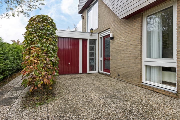 Photo 5 of Molefinne 53