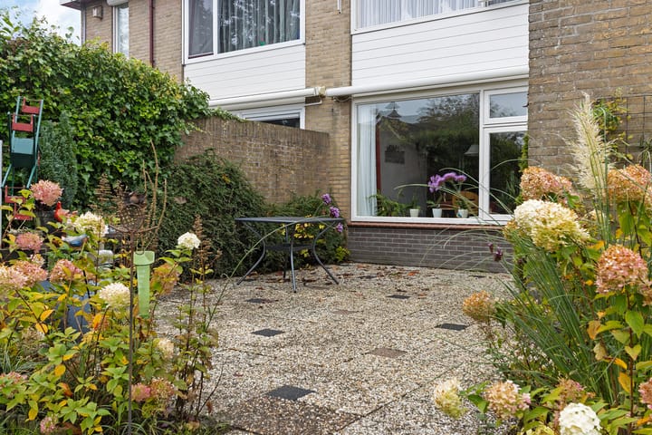 Photo 34 of Molefinne 53