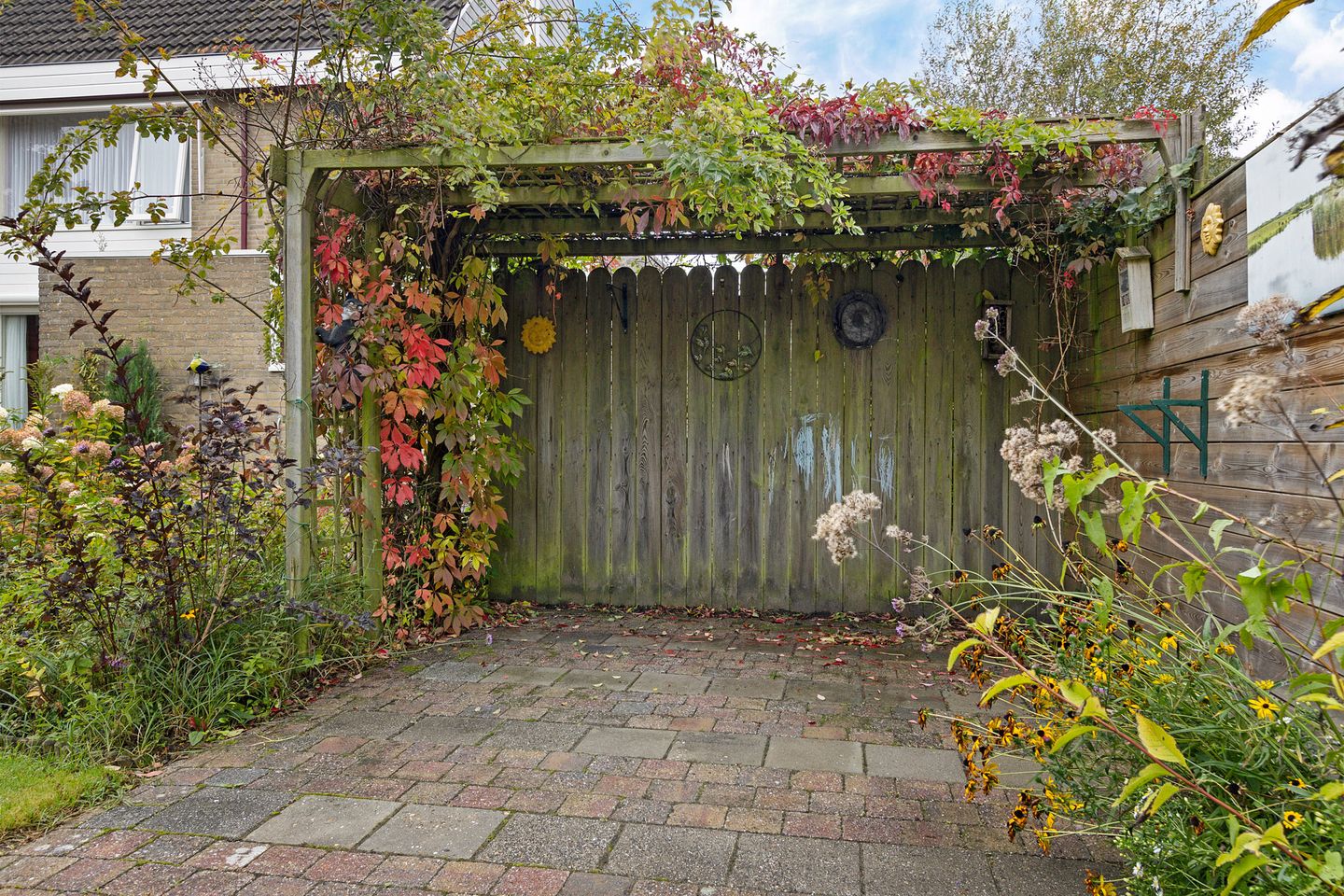 Photo 35 of Molefinne 53