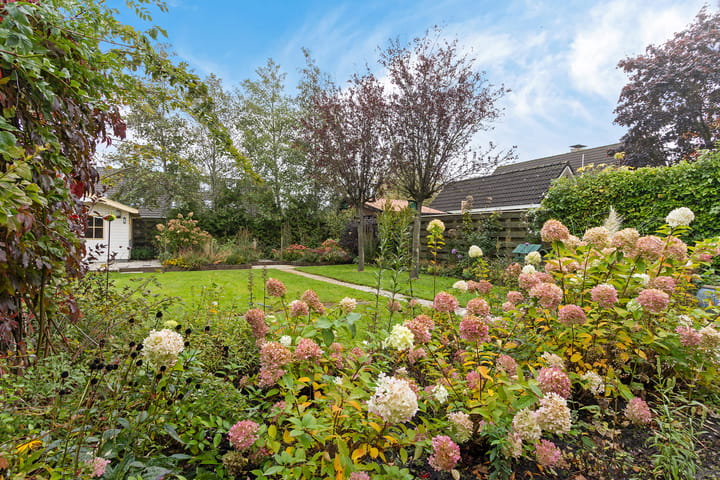 Photo 37 of Molefinne 53