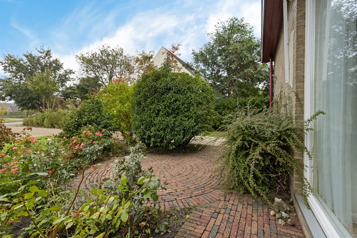 Photo 43 of Molefinne 53