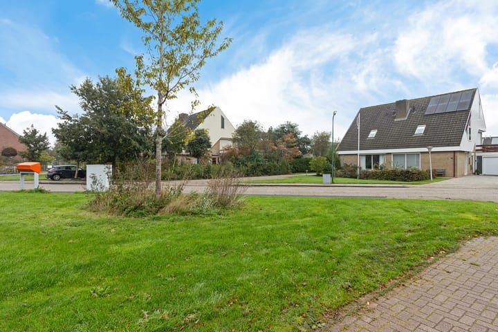 Photo 47 of Molefinne 53