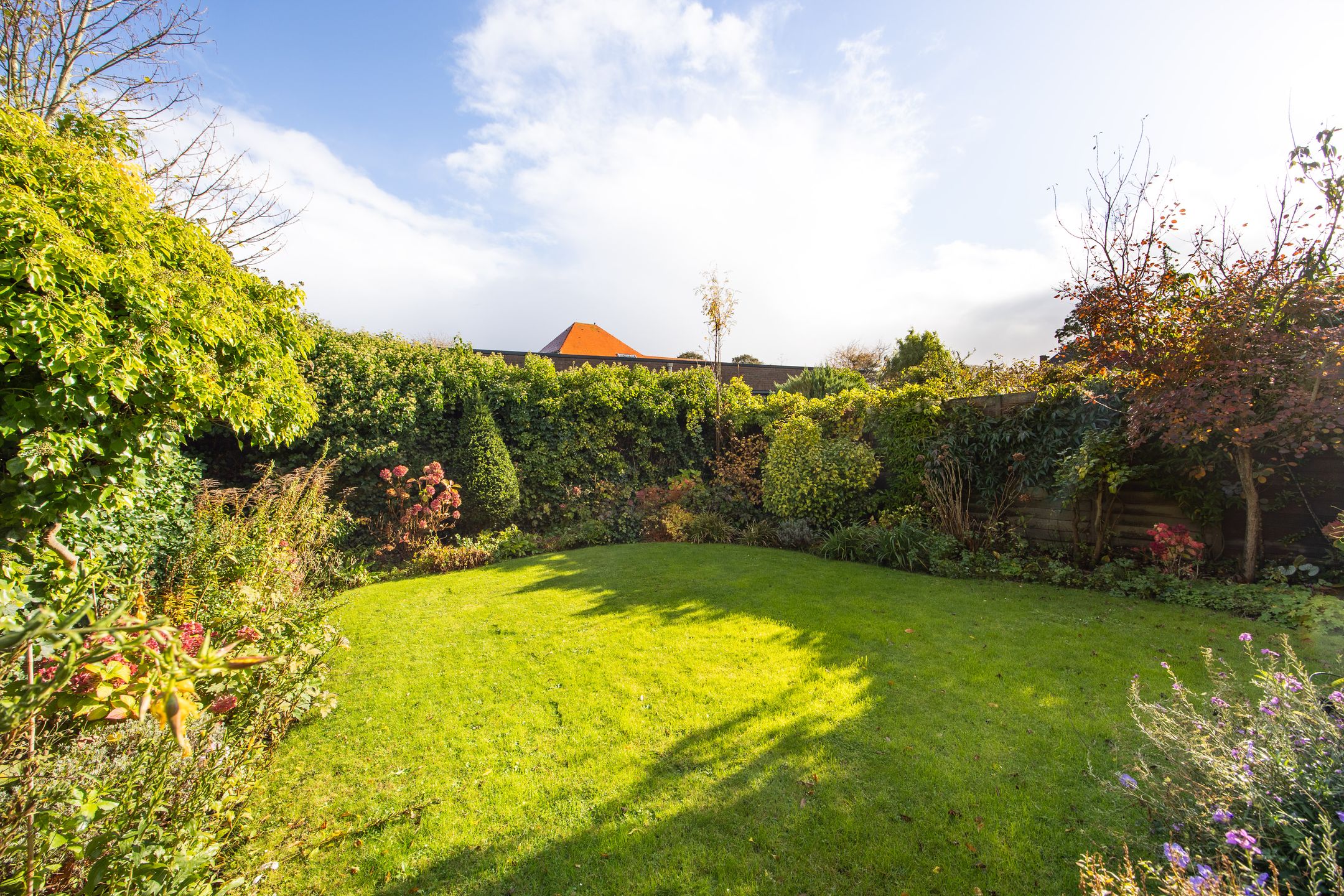 Foto 39 van Paulus Buyslaan 16