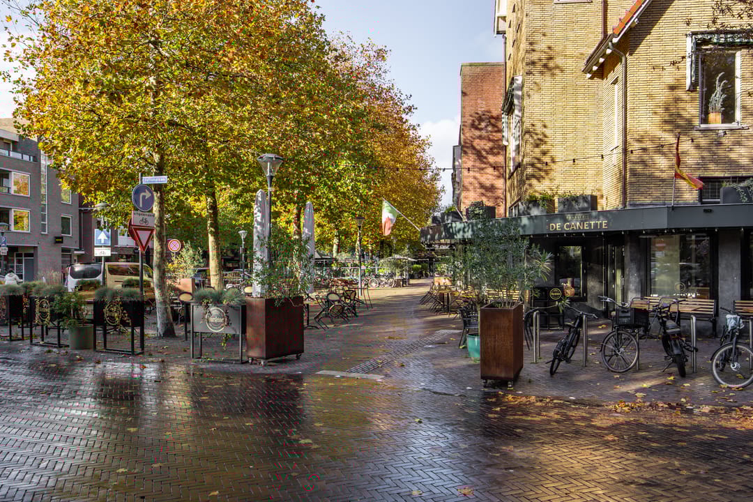 Foto 41 van Paulus Buyslaan 16