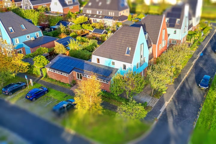 Waarschap 50 main image