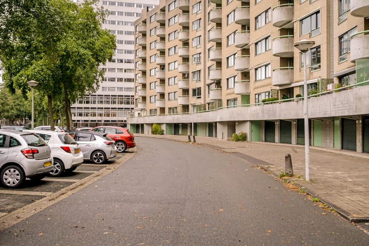 Photo 29 of Rondeel 26