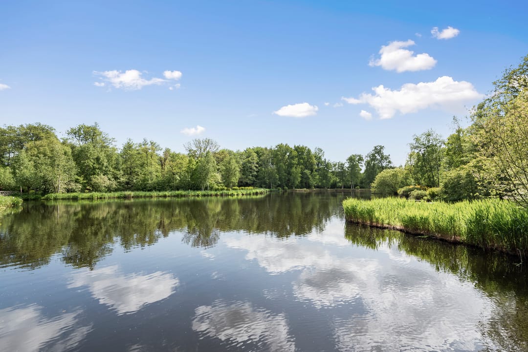 Foto 31 van Rondeel 26