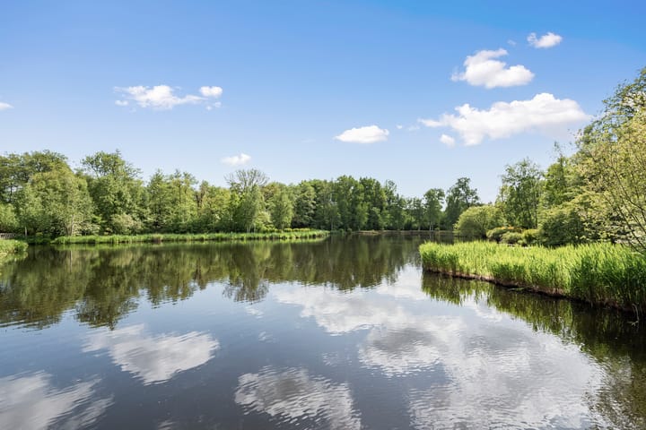 Photo 31 of Rondeel 26