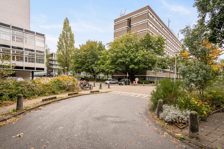 Photo 30 of Rondeel 26