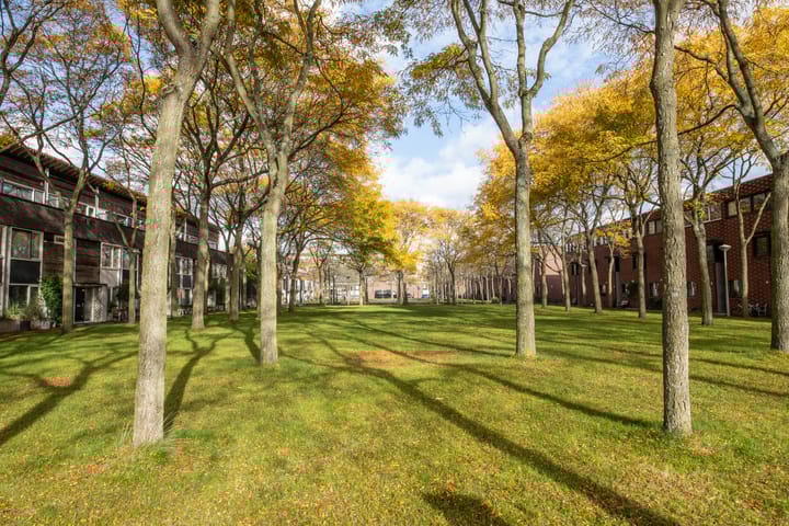 Foto 32 van Schaarbeekstraat 44