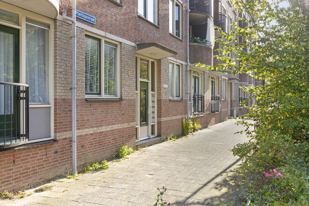 Foto 2 van Plantagestraat 113