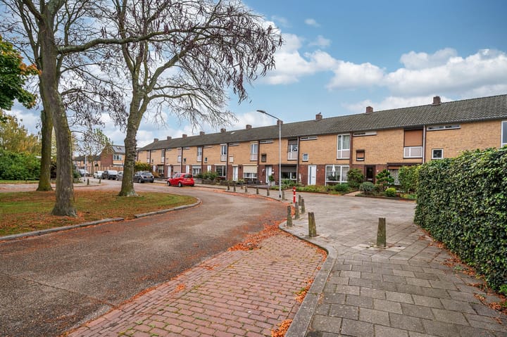 Foto 35 van Scholeksterstraat 19