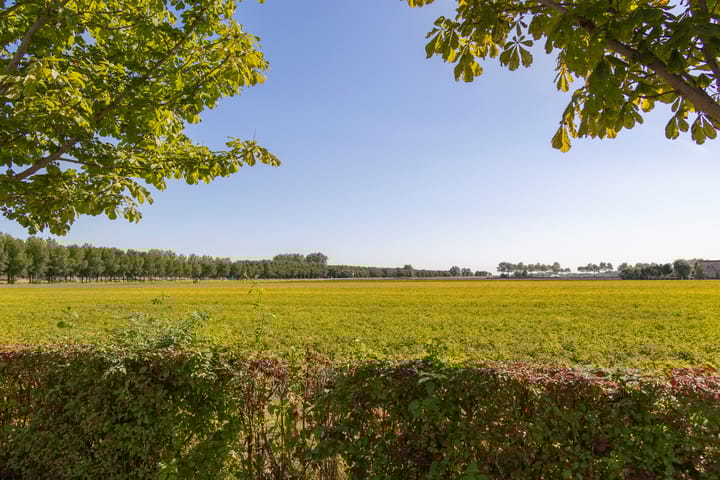 Photo 4 of Koningspleisterplaats 214