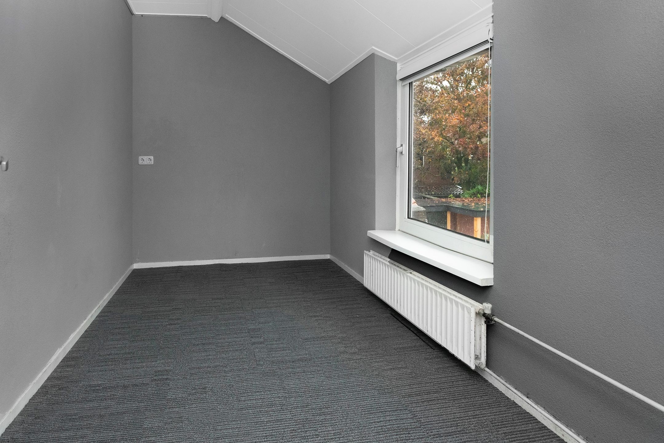 Foto 15 van Beukenlaan 3