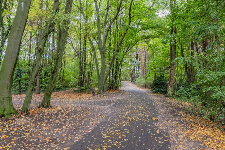 Photo 31 of Oude Baan 76