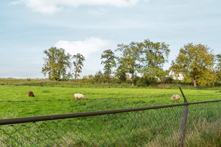 Foto 39 van Roomolen 12