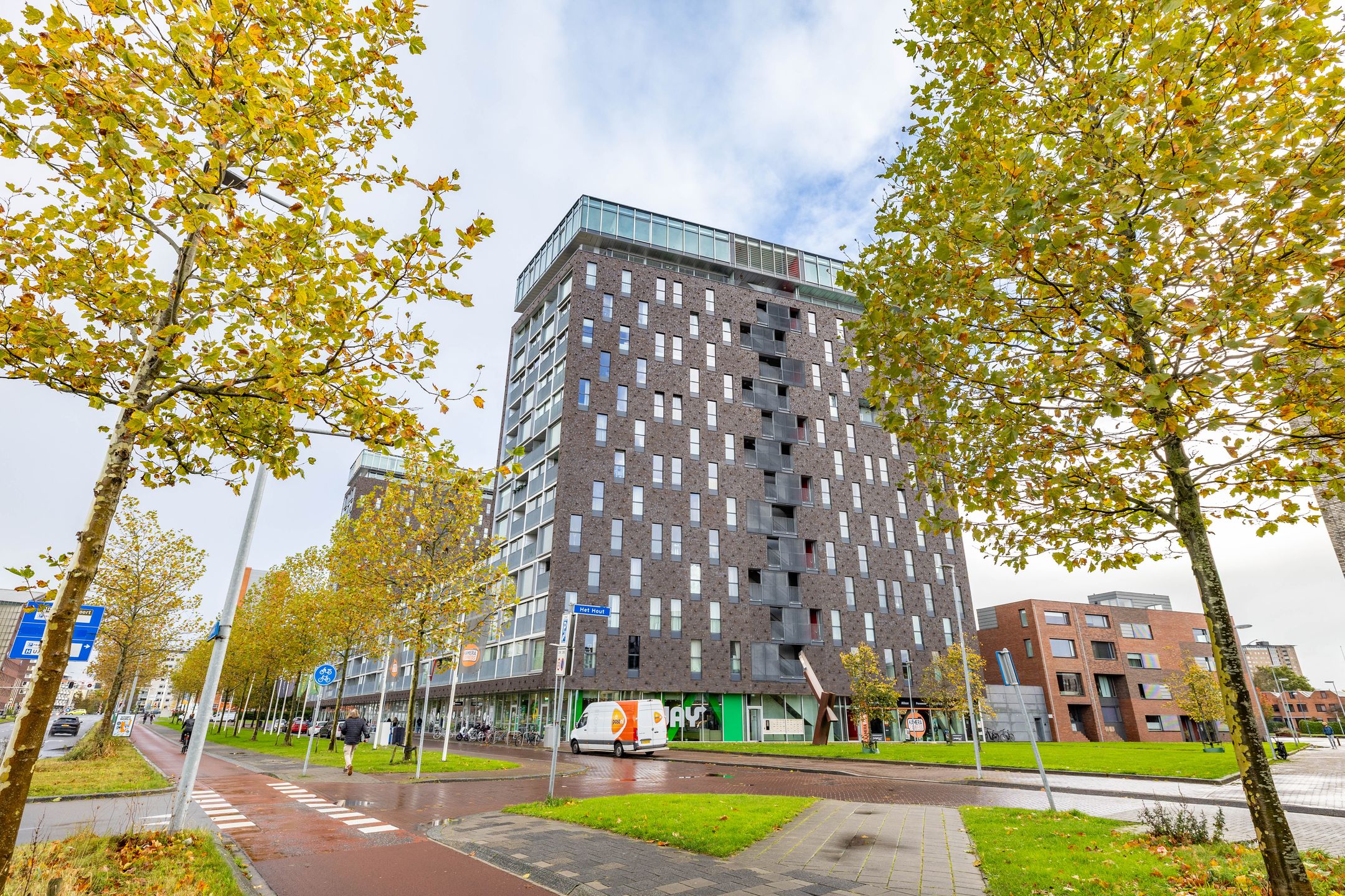 Het Hout, 196, Groningen, 9723LC, Groningen, Nederland 196 