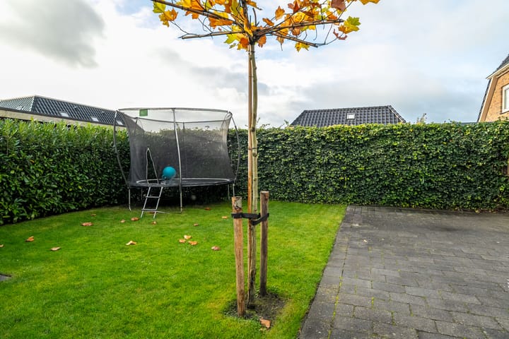 Foto 56 van Jeldingaheerd 25