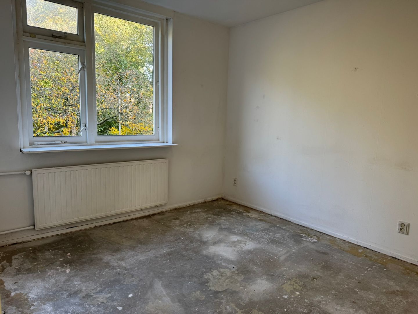 Foto 10 van Voorplecht 11