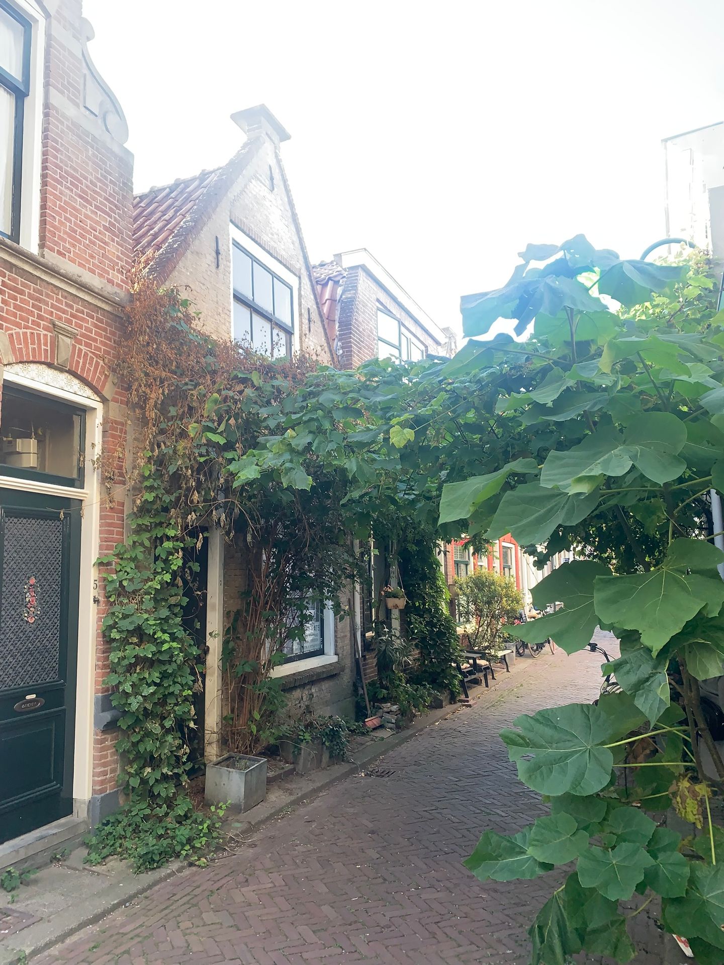 Foto 4 van Lange Dwarsstraat 7